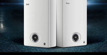 林內(nèi)燃?xì)鉄崴鱮us c10e32ar f 10升冷凝精控恒溫 熱水器 大家電 家用電器 手機(jī) 大家電 神利家 線(xiàn)上一站式家庭服務(wù)平臺(tái)